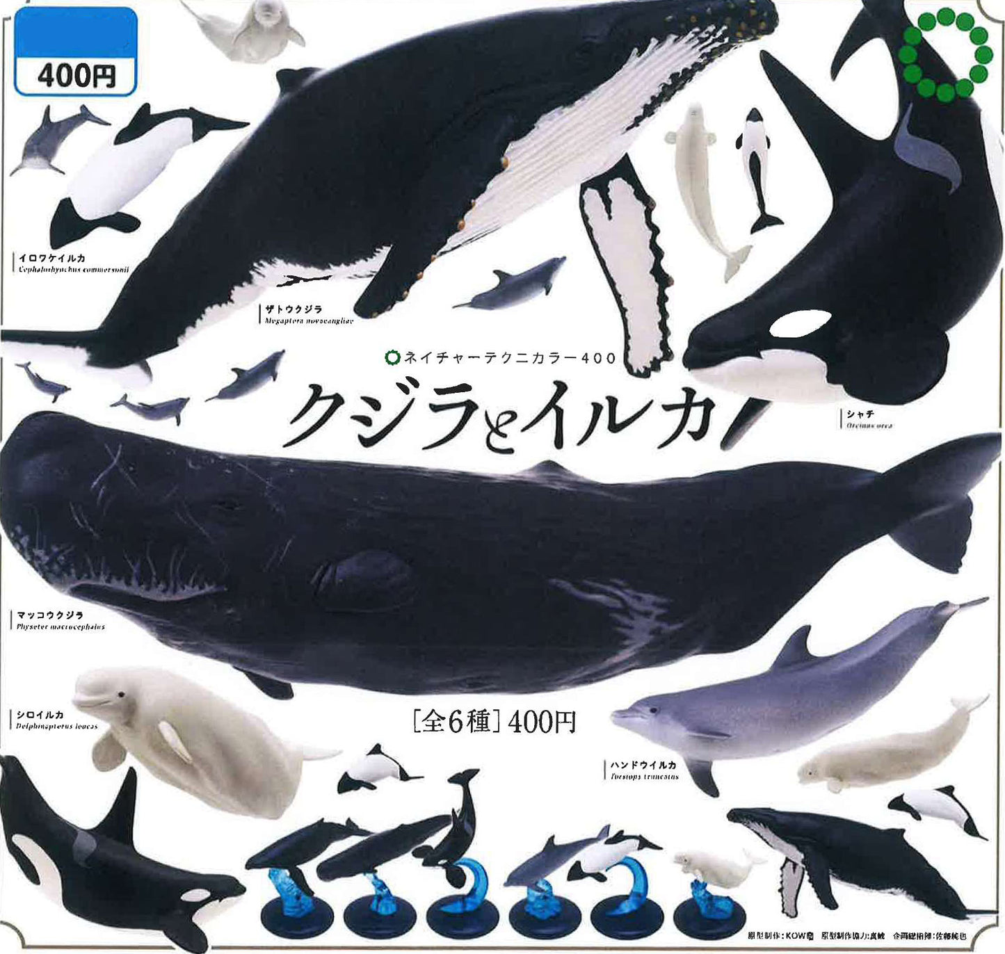 Nature Techni Colour 400 Whale and Dolphin