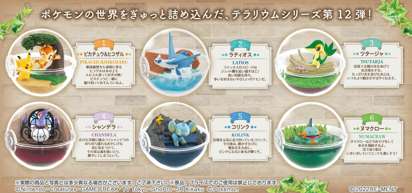 Re-Ment - Pokemon: Terrarium Collection 12: 1 Random Pull - Good Game Anime