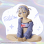 HOLOLIVE #hololive IF -Relax time-Todoroki Hajime