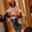My Dress-Up Darling T-Most Figure - Marin Kitagawa (Bunny Ver.)
