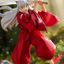 TENITOL Inuyasha