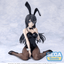Yumemirize Rascal Does Not Dream Series Mai Sakurajima Bunny