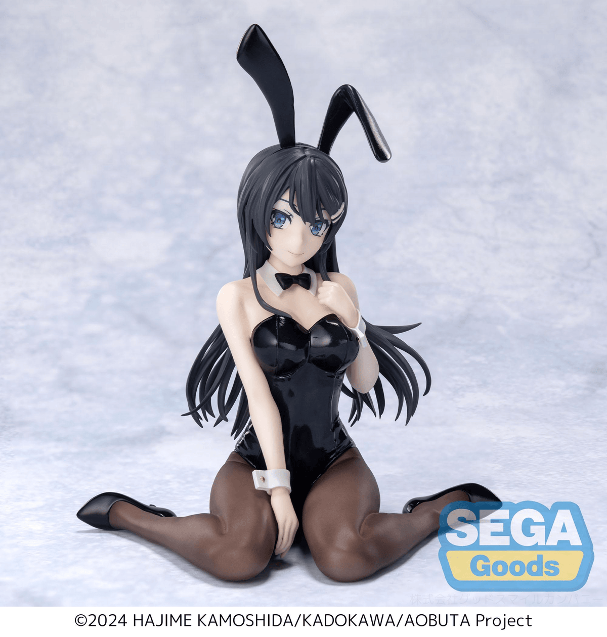 Yumemirize Rascal Does Not Dream Series Mai Sakurajima Bunny
