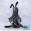 Yumemirize Rascal Does Not Dream Series Mai Sakurajima Bunny