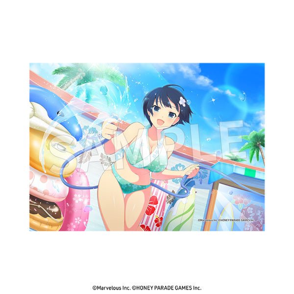 DaYPRO - Senran Kagura: 2L Size Bromide Vol.1: 1Box (8pcs) - Good Game Anime