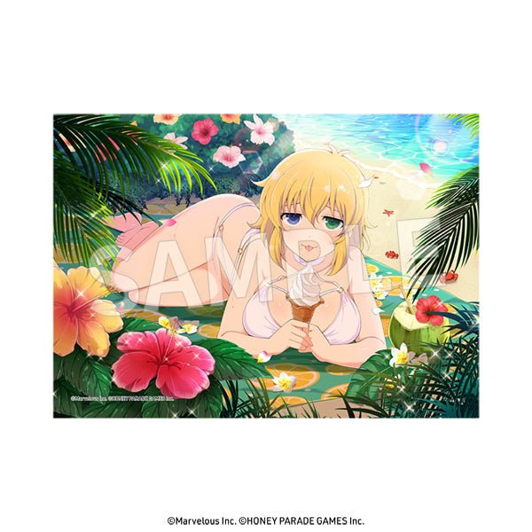 DaYPRO - Senran Kagura: 2L Size Bromide Vol.2: 1Box (8pcs) - Good Game Anime