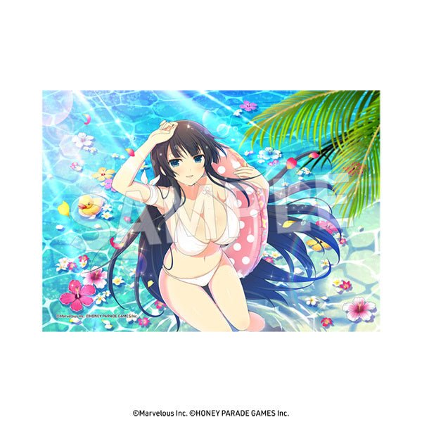 DaYPRO - Senran Kagura: 2L Size Bromide Vol.2: 1Box (8pcs) - Good Game Anime