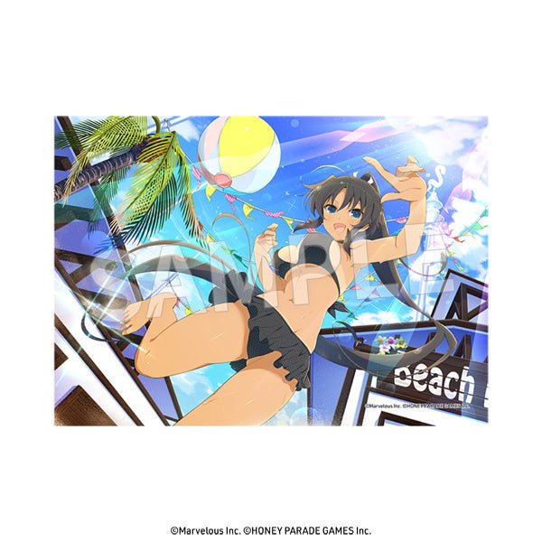 DaYPRO - Senran Kagura: 2L Size Bromide Vol.2: 1Box (8pcs) - Good Game Anime