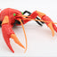 Fujimi - Evangelion Edition American Crayfish Crawfish - Good Game Anime