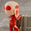 Good Smile Company - Nendoroid Colossal Titan Renewal Set (Attack on Titan) - Good Game Anime