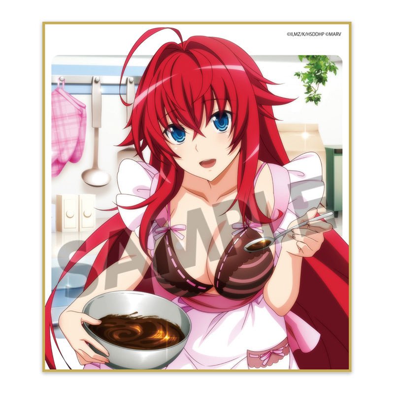Hobby Stock - High School DxD HERO: Trading Mini Shikishi vol.1 : 1 Random Pull - Good Game Anime