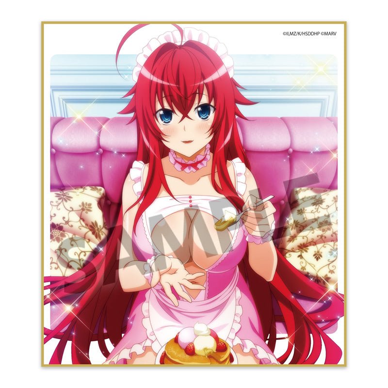 Hobby Stock - High School DxD HERO: Trading Mini Shikishi vol.2 : 1 Random Pull - Good Game Anime