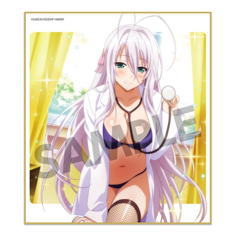 Hobby Stock - High School DxD HERO: Trading Mini Shikishi vol.3 : 1 Random Pull - Good Game Anime