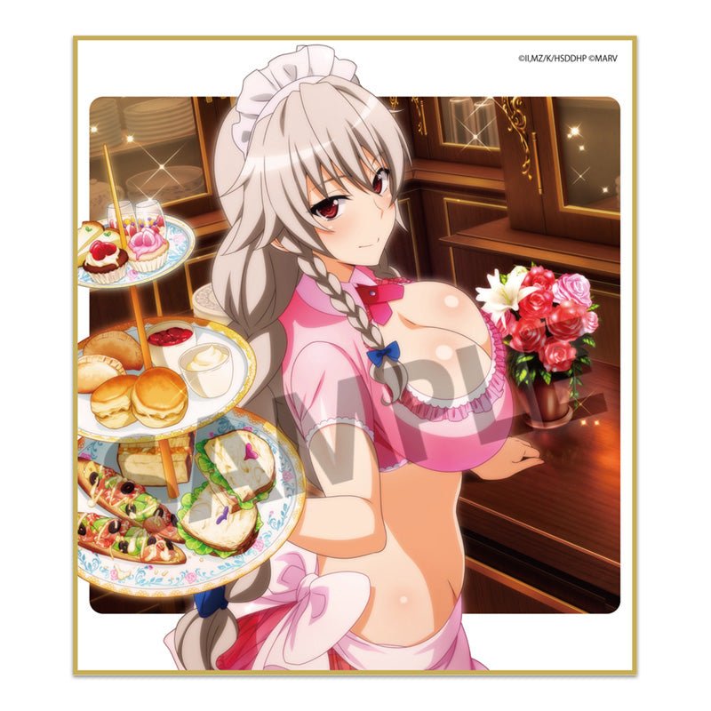 Hobby Stock - High School DxD HERO: Trading Mini Shikishi vol.3 : 1 Random Pull - Good Game Anime