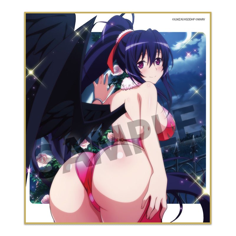Hobby Stock - High School DxD HERO: Trading Mini Shikishi vol.3 : 1 Random Pull - Good Game Anime