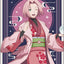 Medicos - Naruto Shippuden: Newly Drawn Illustration Card Set [Zinrou ver.] - Good Game Anime