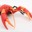 Evangelion Edition American Crayfish Crawfish